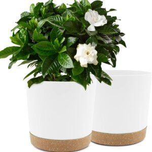 plant pots