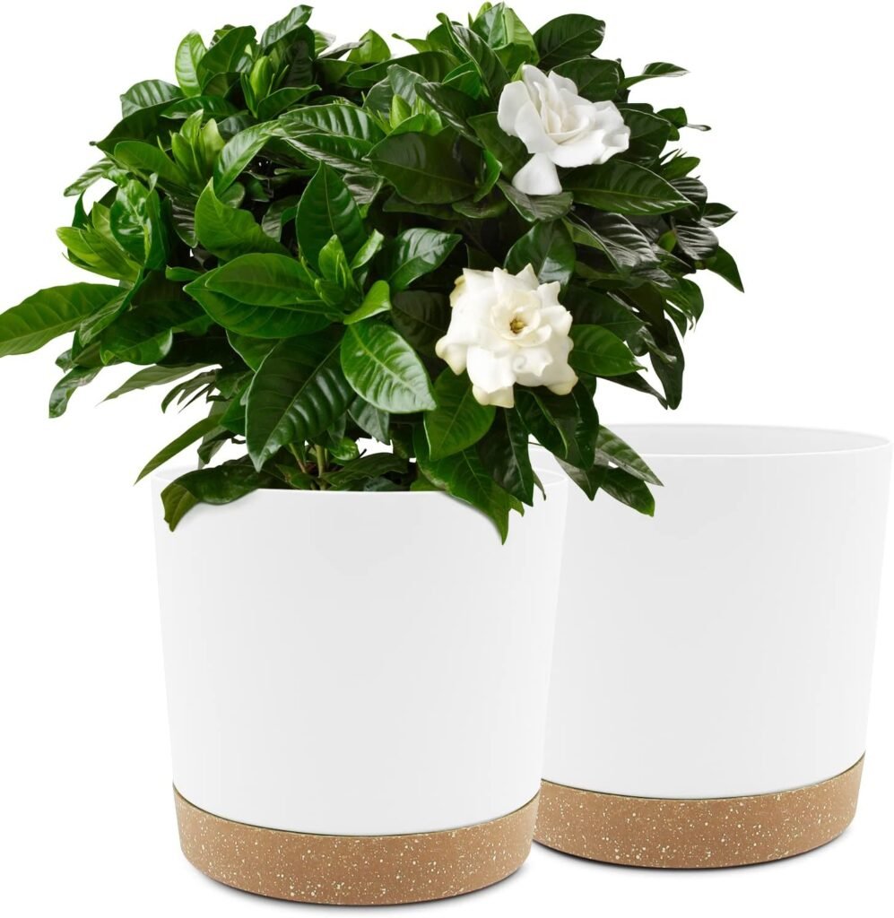 plant pots